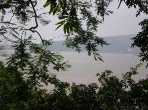 View from the top of the hill in Elephanta Island. 